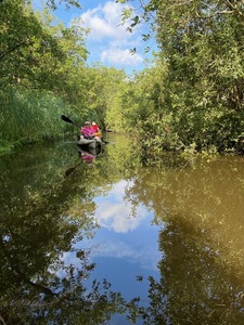 230710-jungletocht1