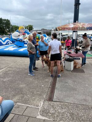 zaterdag-poffertjeskraam-en-surfrodeo